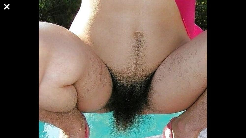 25P Bonnes chattes poilues vol 11 - hairy pussies  hairy cunt