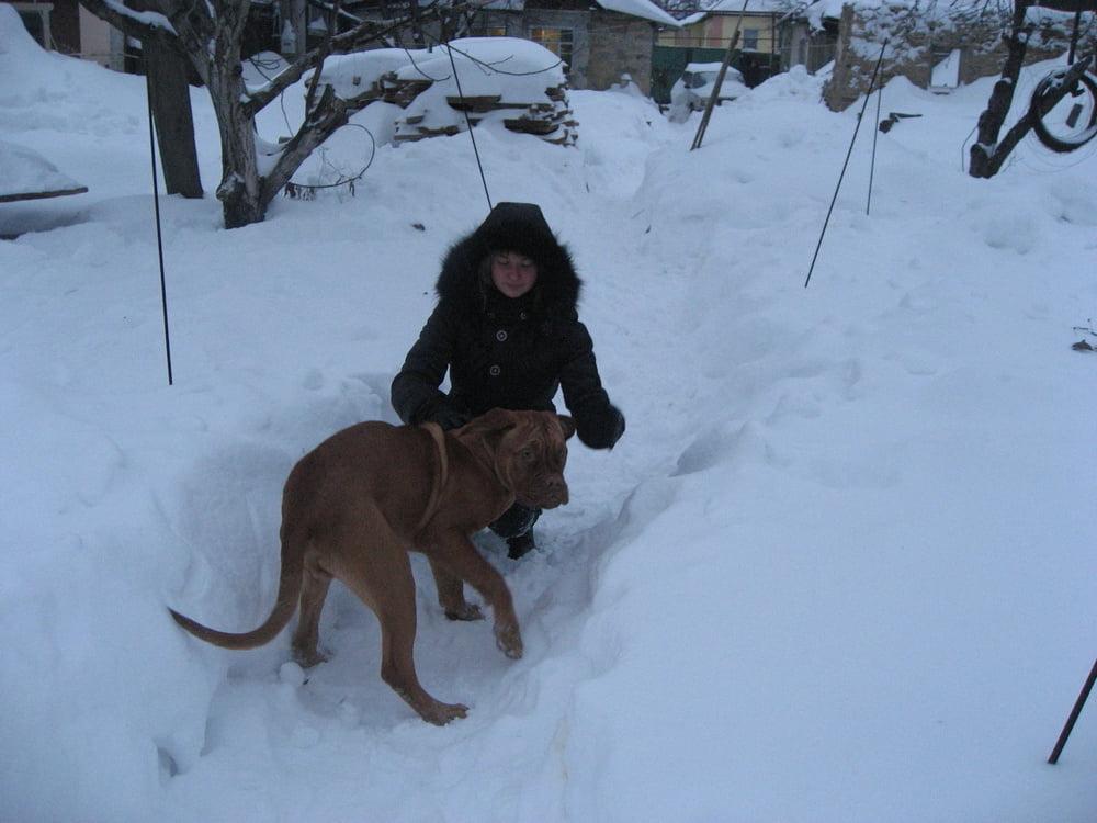 25P AP00178 Ukrainian graduate student private life