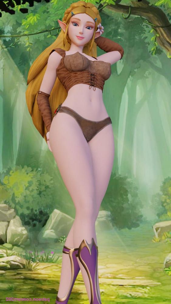 13P Princess Zelda Breath of the Wild 3D