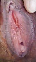 20P My mature Japanese girlfriend - hairy pussy pics