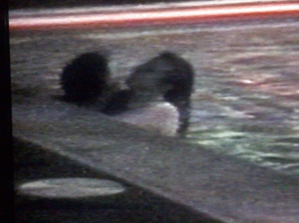 11P Carole's hairy cunt gets fucked by man in the spa