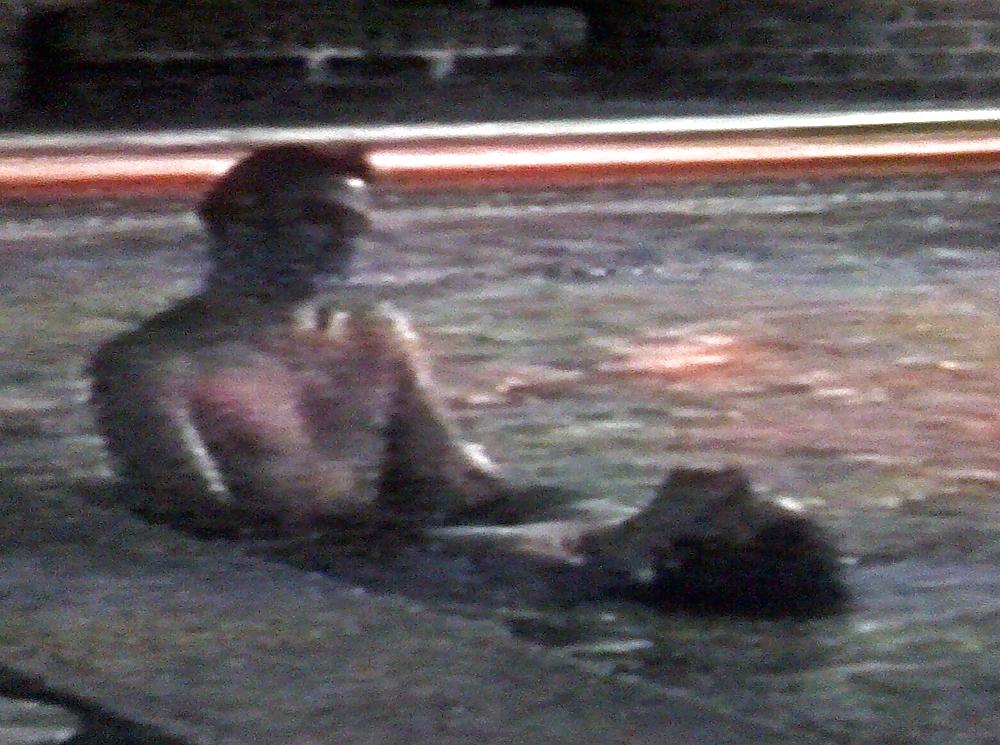 11P Carole's hairy cunt gets fucked by man in the spa