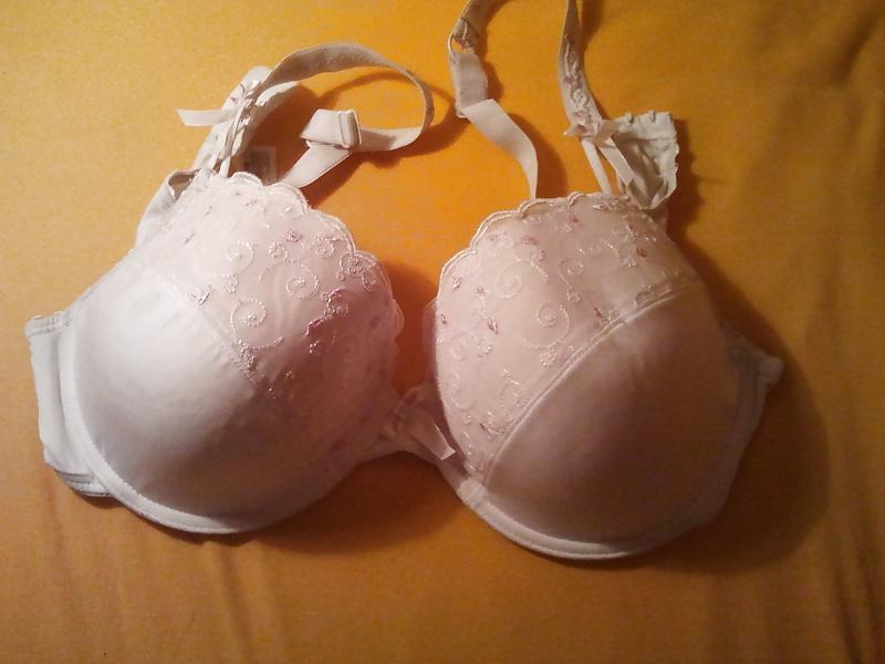24P Bra cups