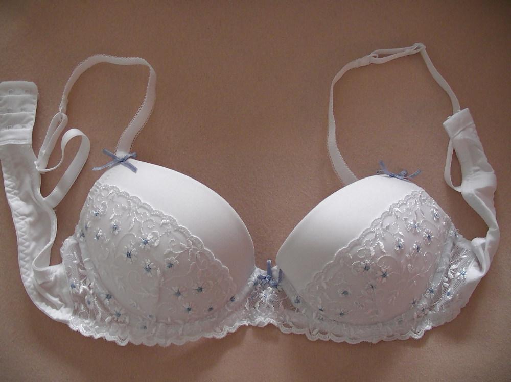 24P Bra cups