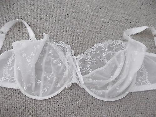 25P Big cup bra