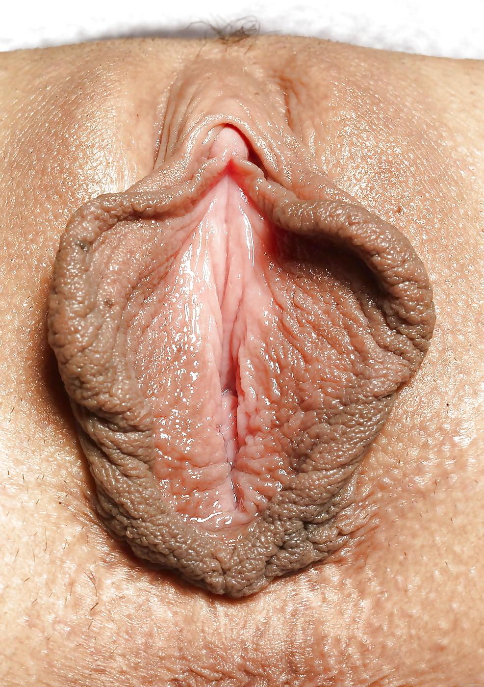 25P Big Pussy Lips (12)