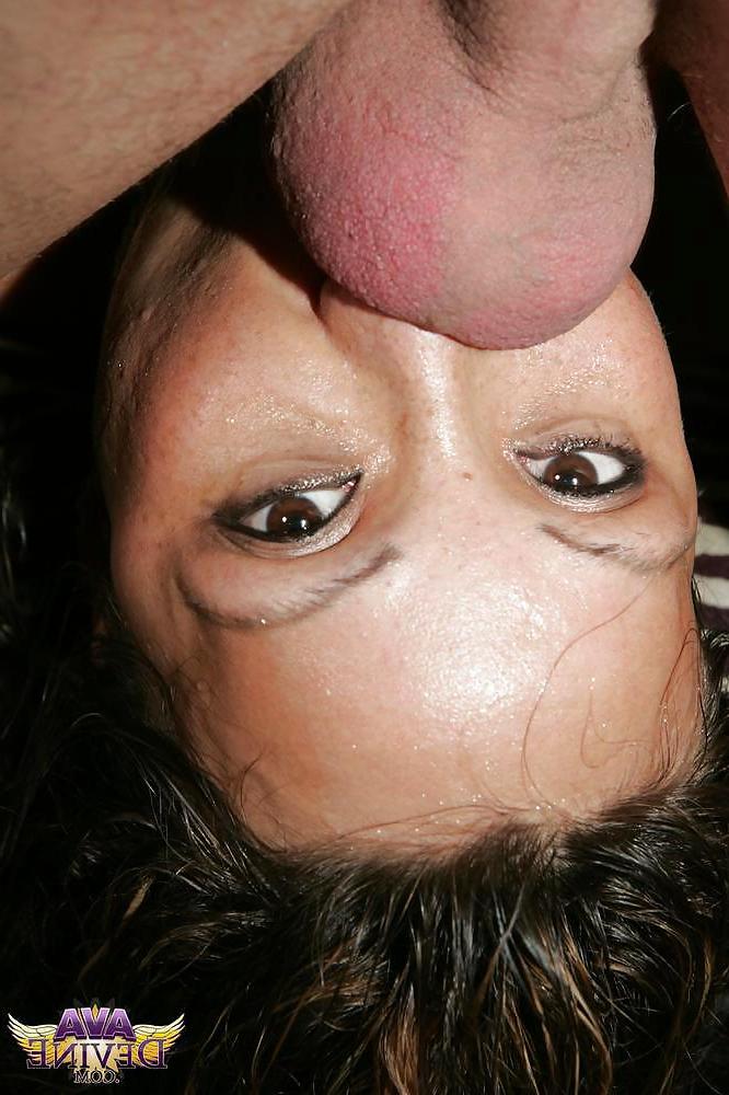 25P Ava devine - cagna in calore