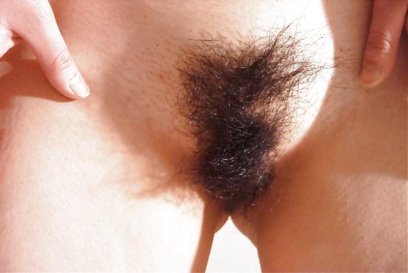 25P Big tits and hairy Japanese Babes! 
