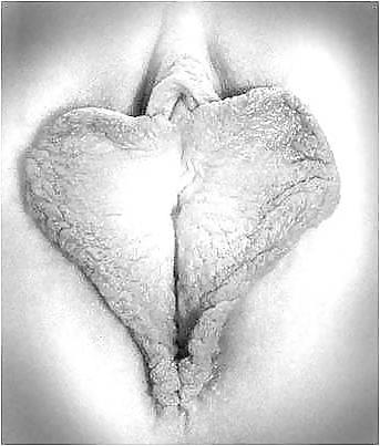 25P Big Pussy Lips (14)