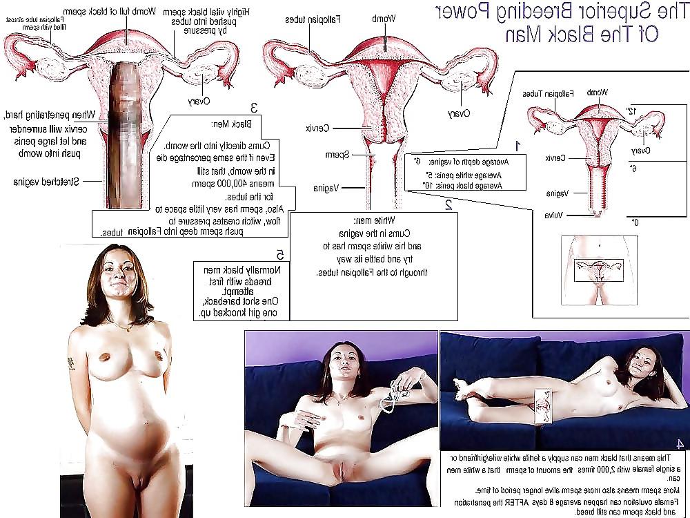 25P White Wives & GF's Black Bred Pregnant by Hung Niggas