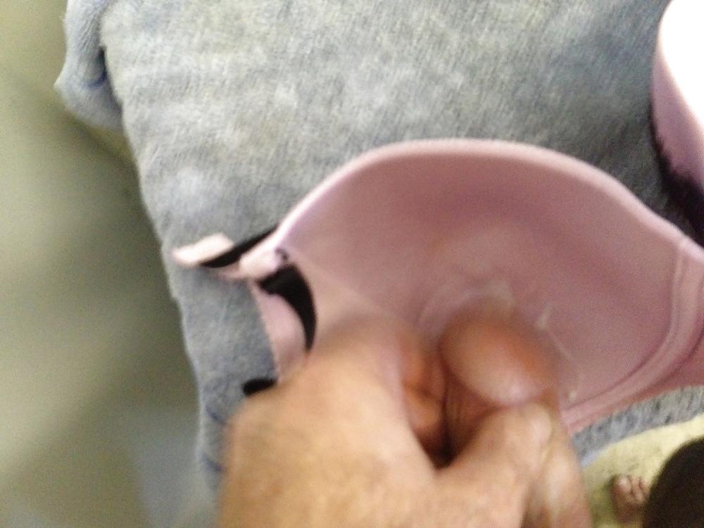 4P 12D bra fun