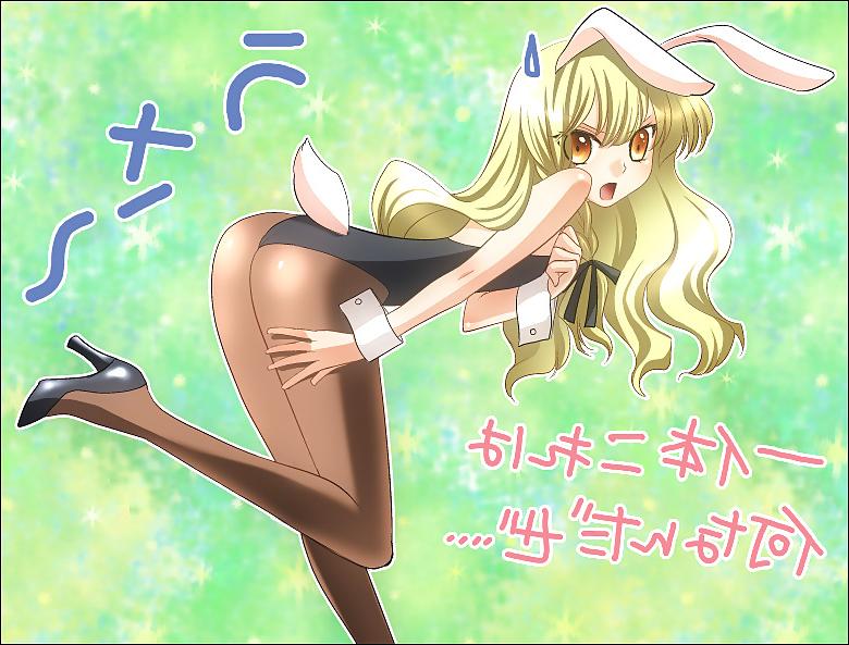 15P Anime Bunny Girls