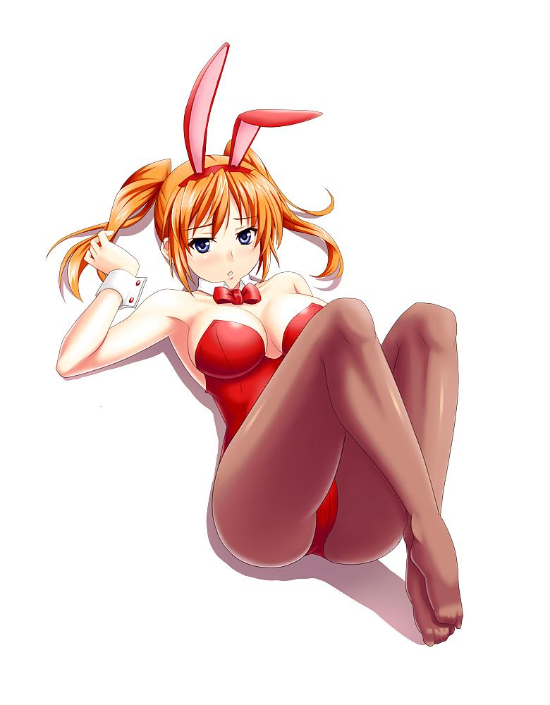 15P Anime Bunny Girls