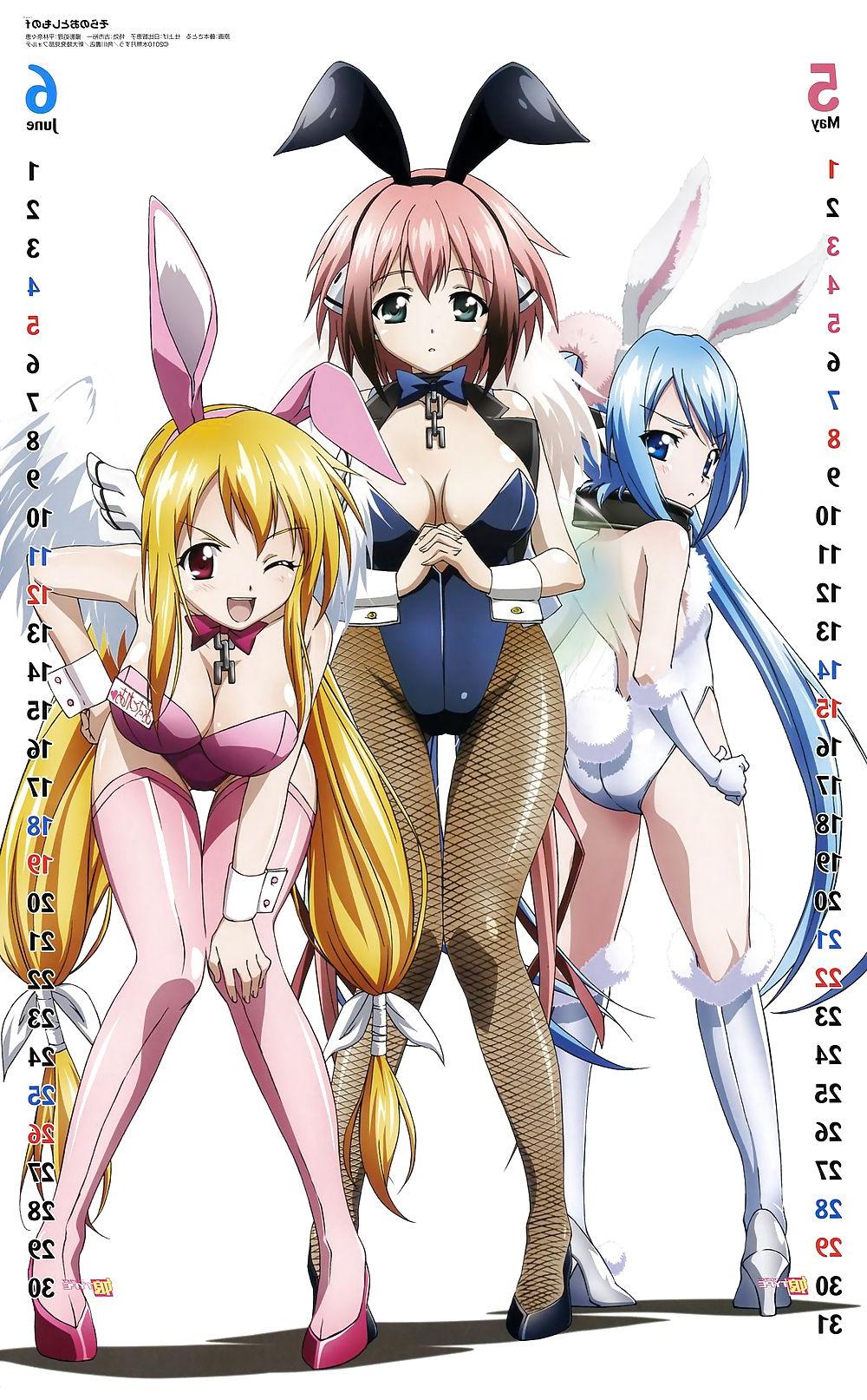 15P Anime Bunny Girls