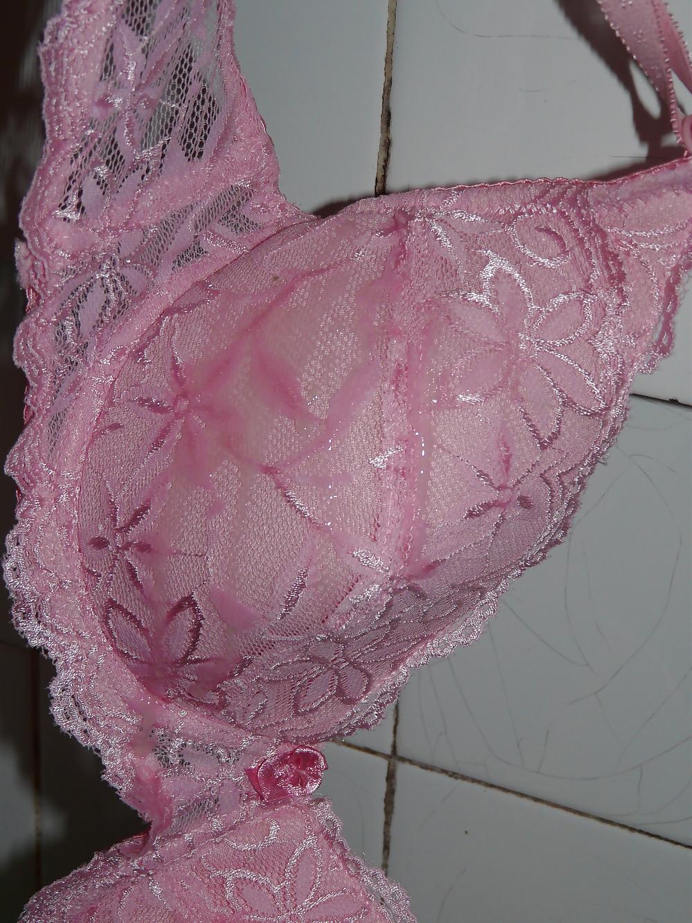 11P My mom's pink bra.