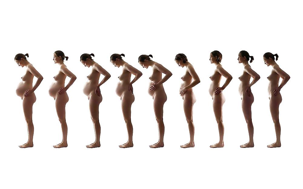9P Pregnant Studies