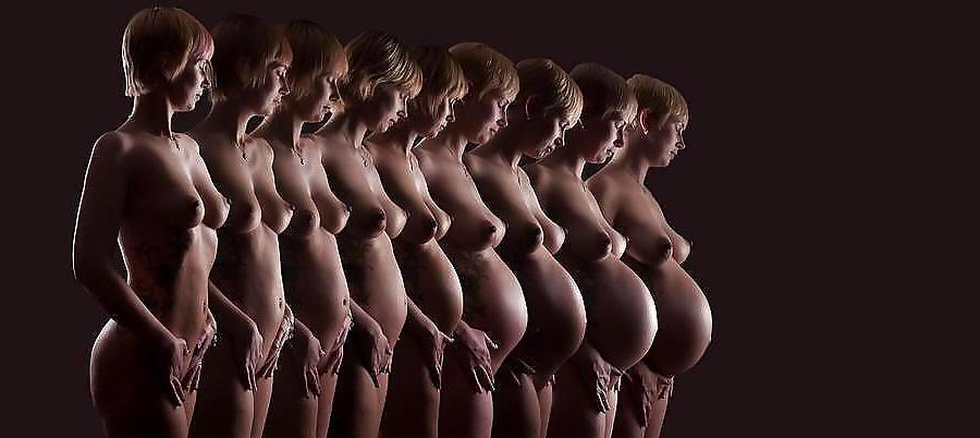 9P Pregnant Studies