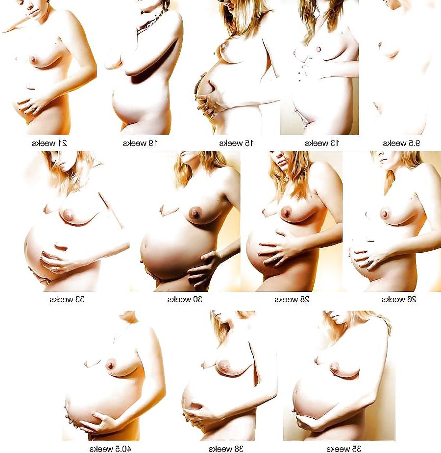 9P Pregnant Studies