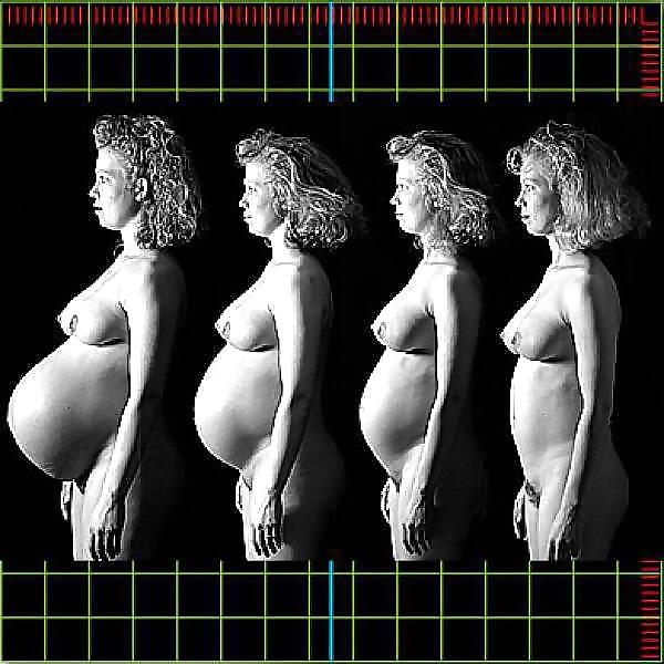 9P Pregnant Studies