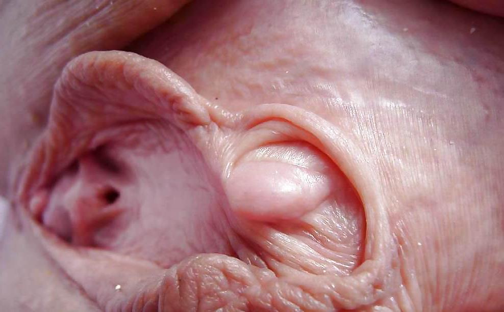 25P Big Pussy Lips (33)