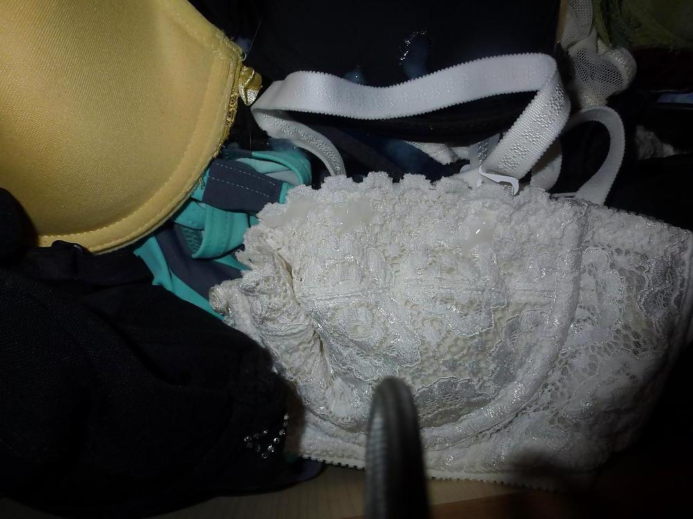 20P Cum on my Wife's bras