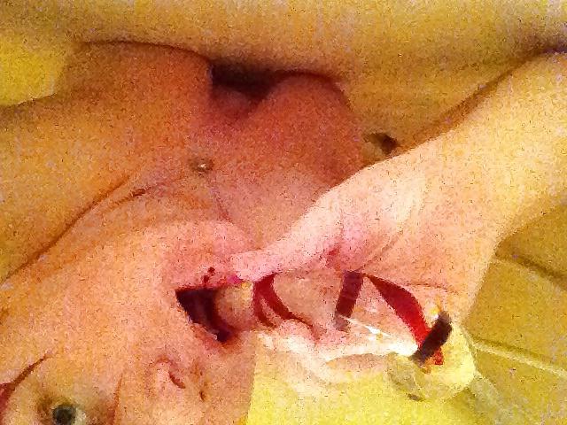20P Sexy Shower Teases and Shots