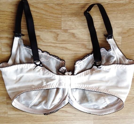24P Bra shot
