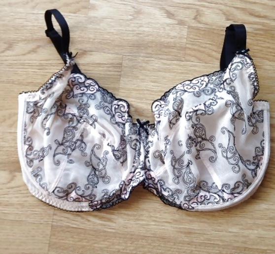 24P Bra shot