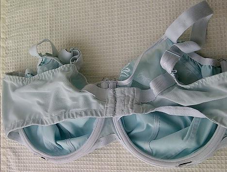24P Bra shot