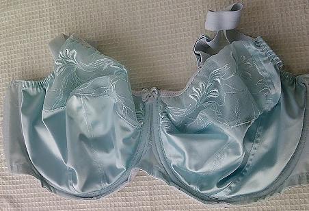 24P Bra shot