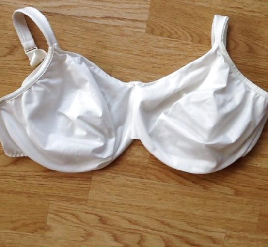 24P Bra shot