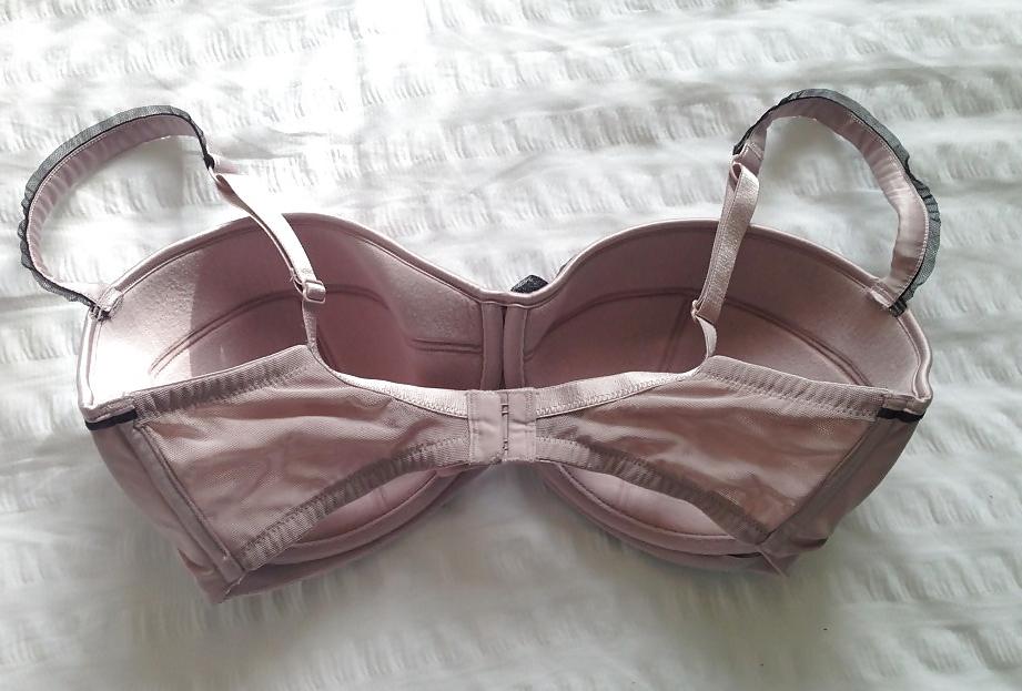 24P Bra shot