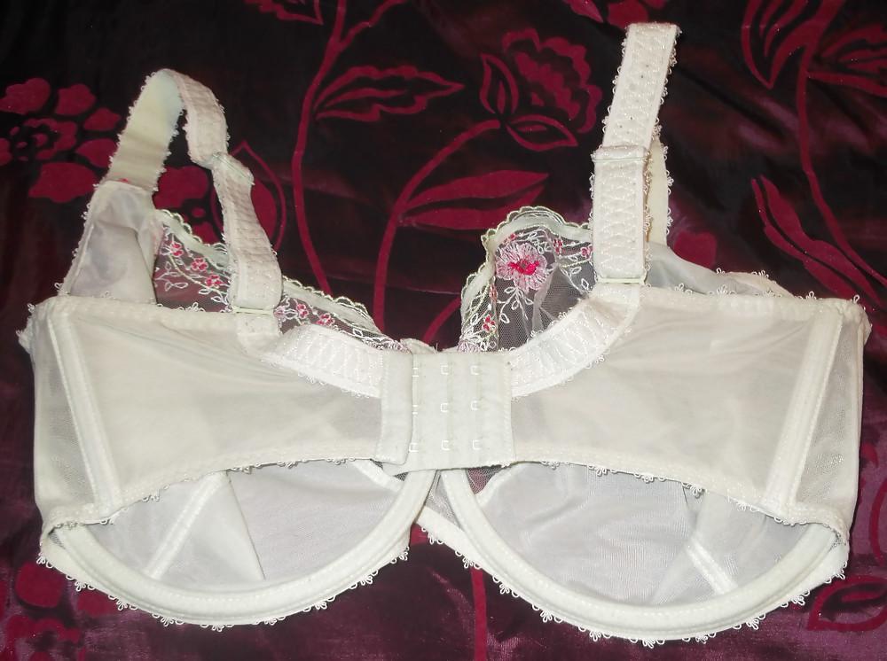 24P Bra shot