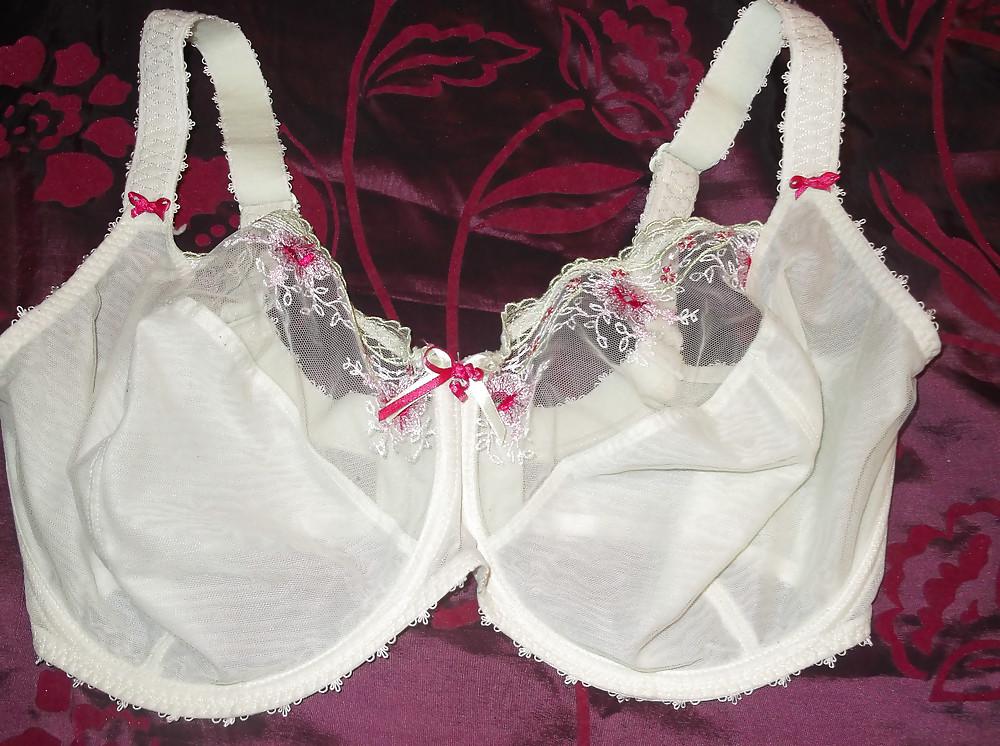 24P Bra shot