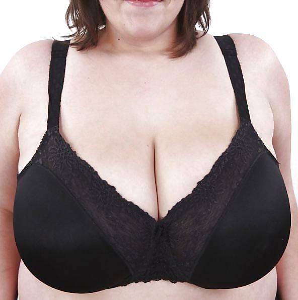 24P Tits in bra
