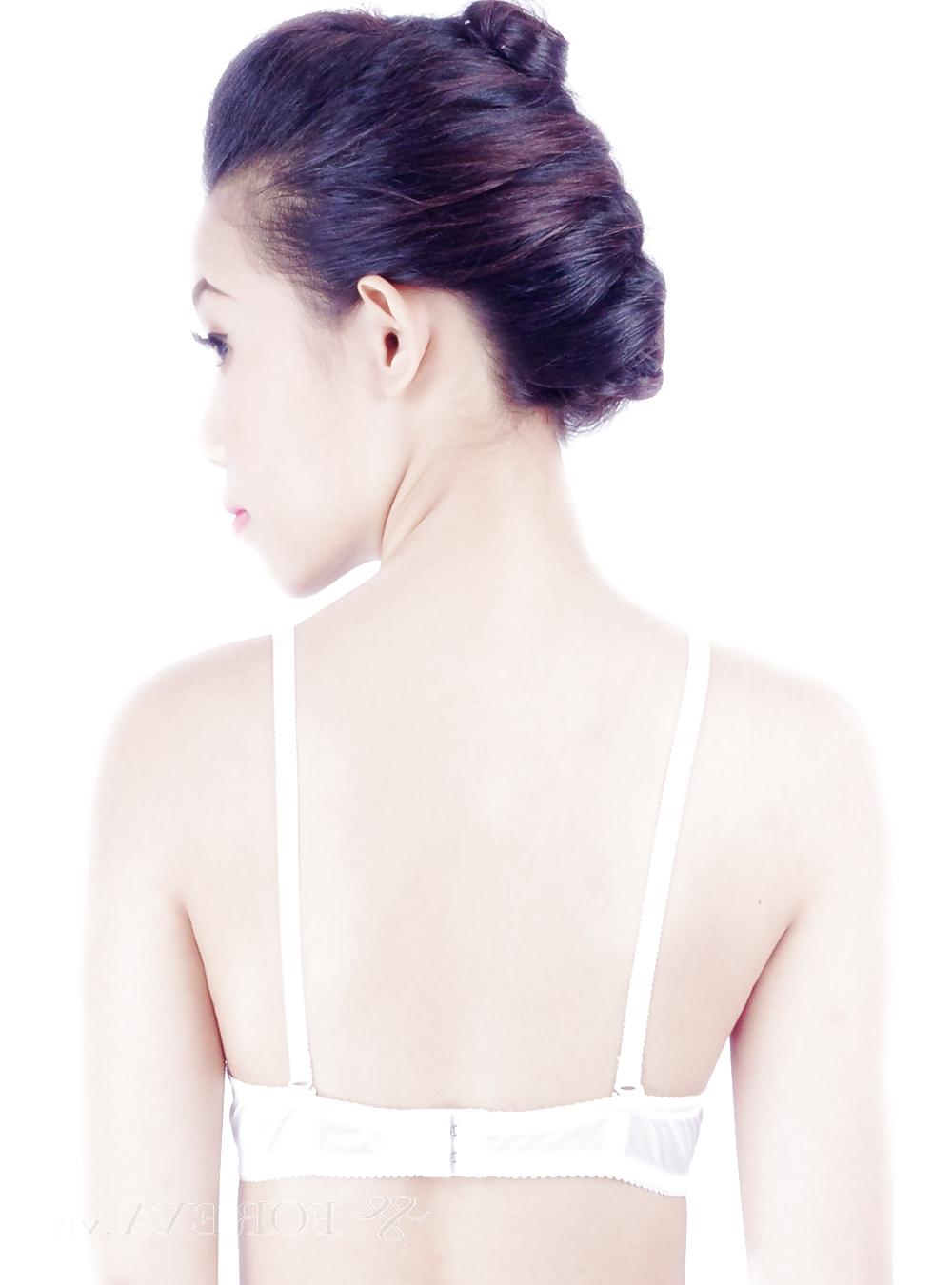 24P Rear bra