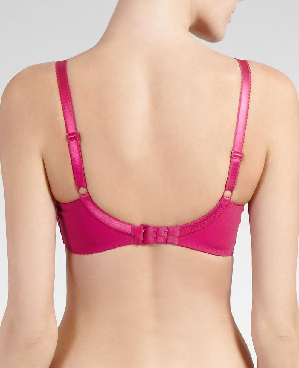24P Rear bra