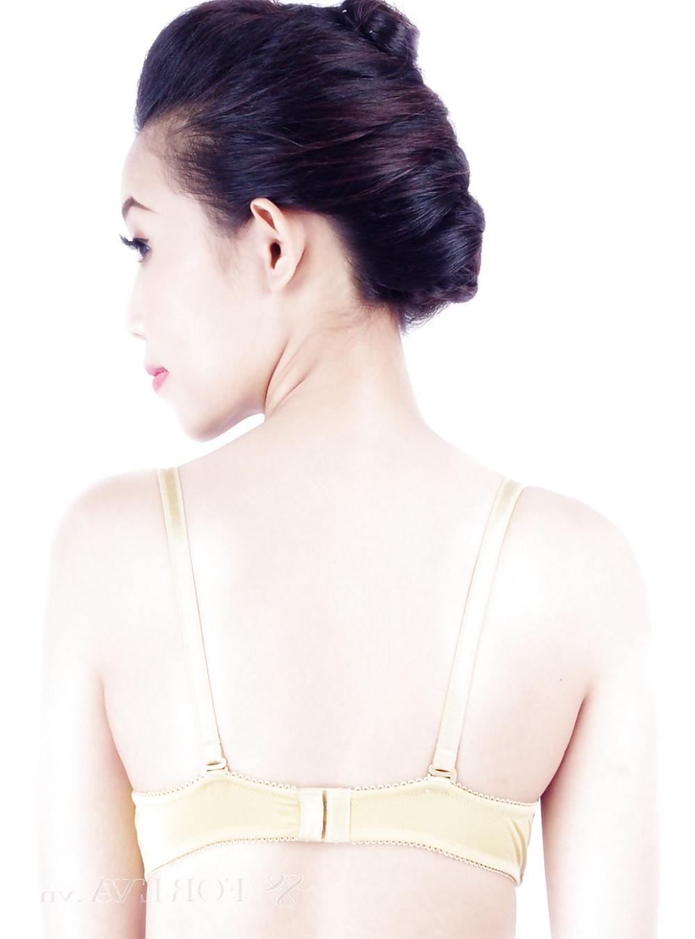 24P Rear bra