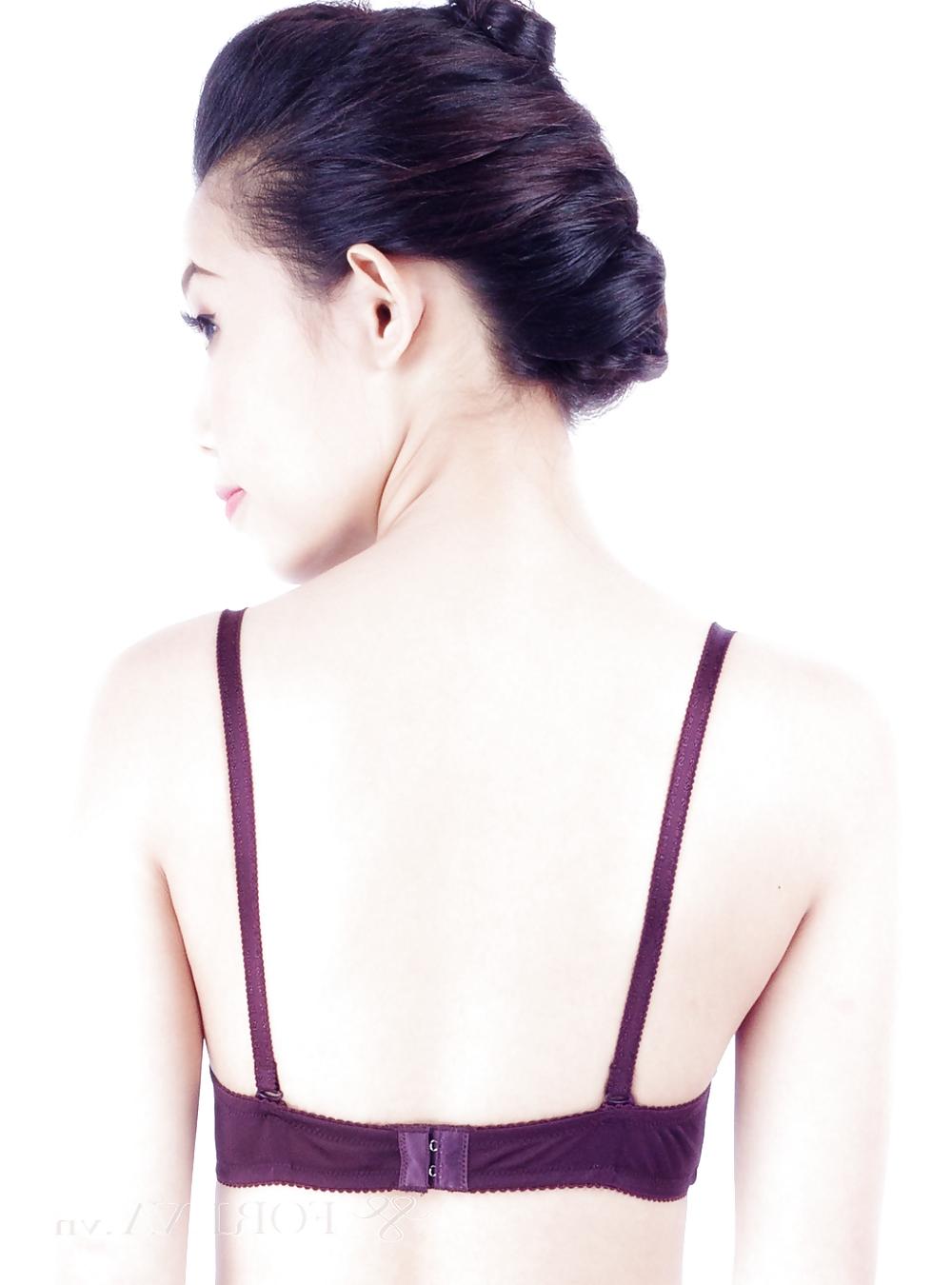 24P Rear bra