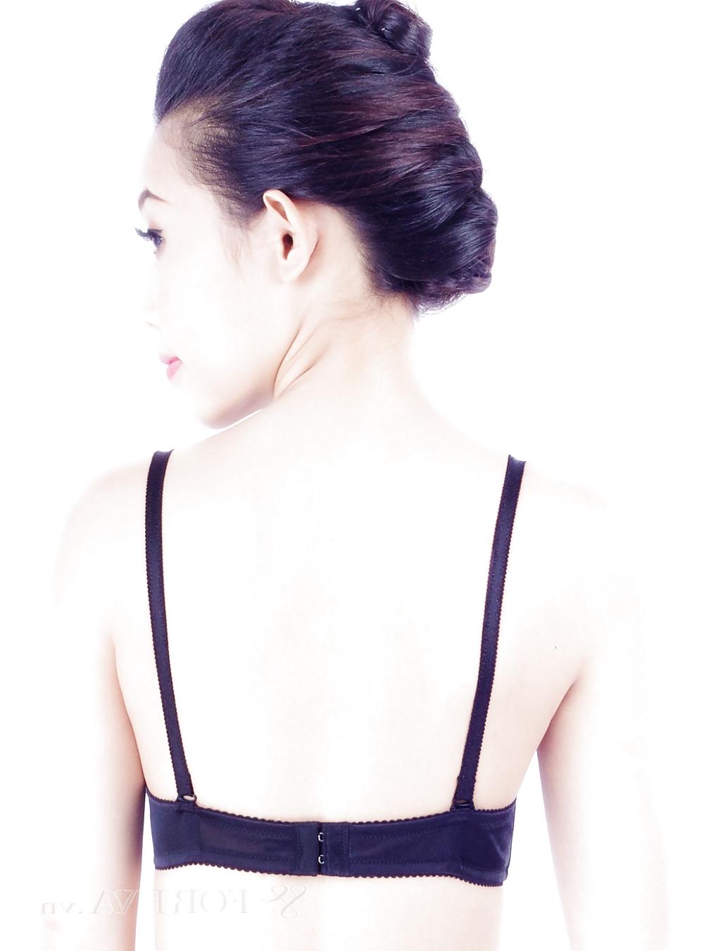 24P Rear bra