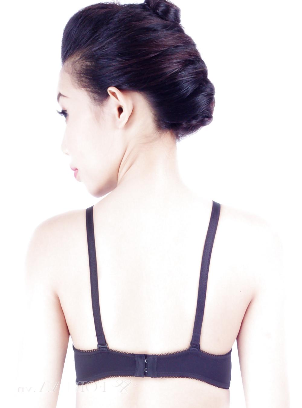 24P Rear bra