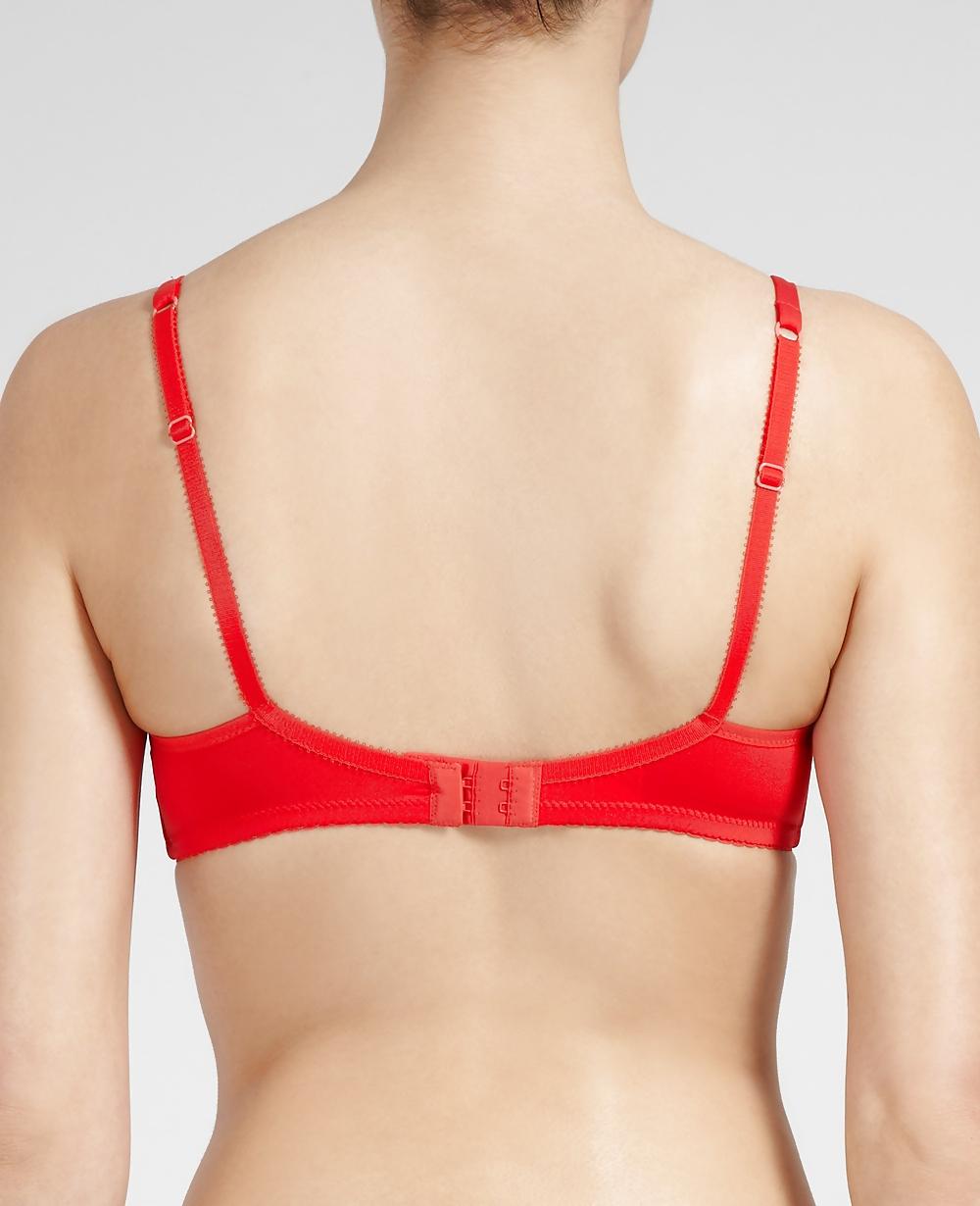 24P Rear bra