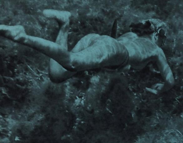 25P Japanese AMA diver