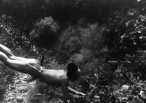 25P Japanese AMA diver