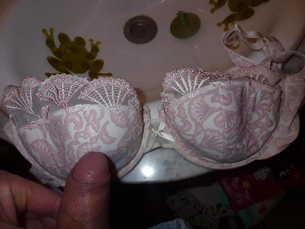 13P Cum on my Mother in law's bra