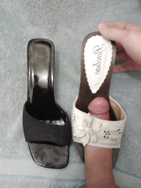 7P Cum on Sister-in-law mules!