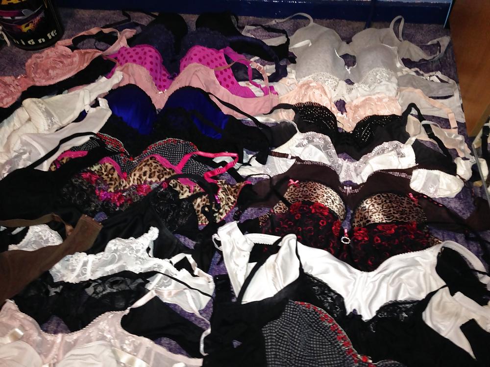 8P Used bra collection