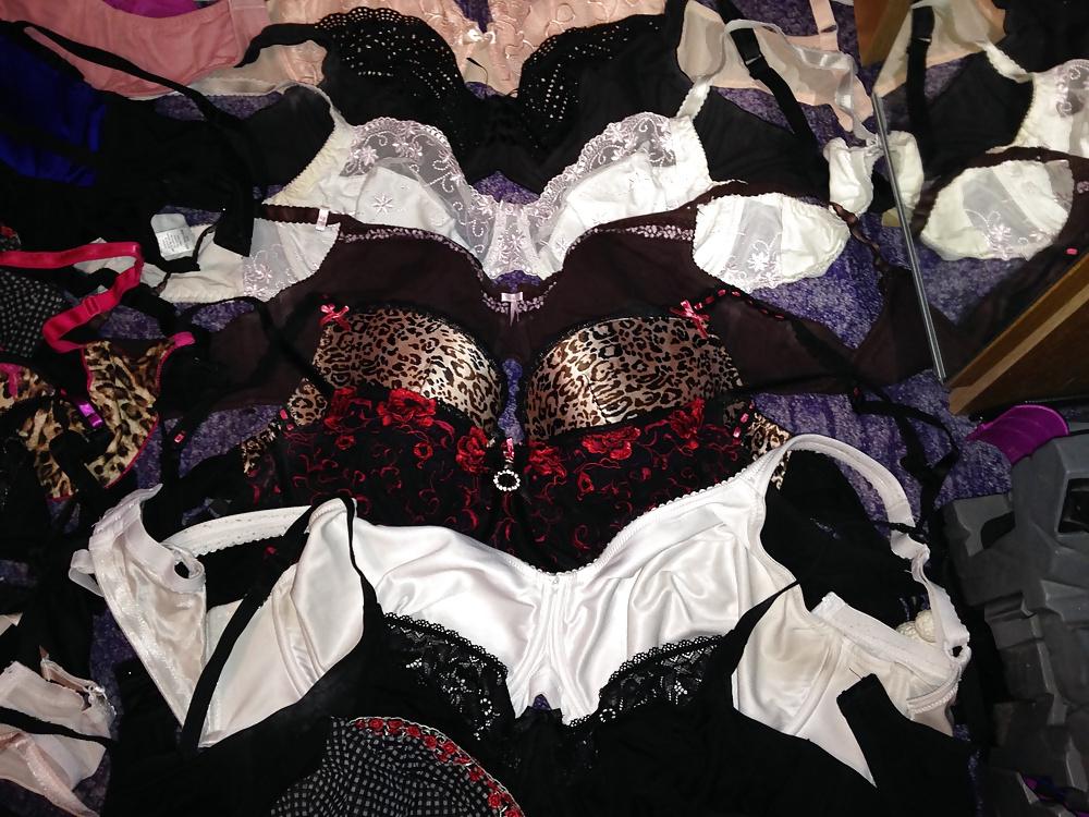 8P Used bra collection