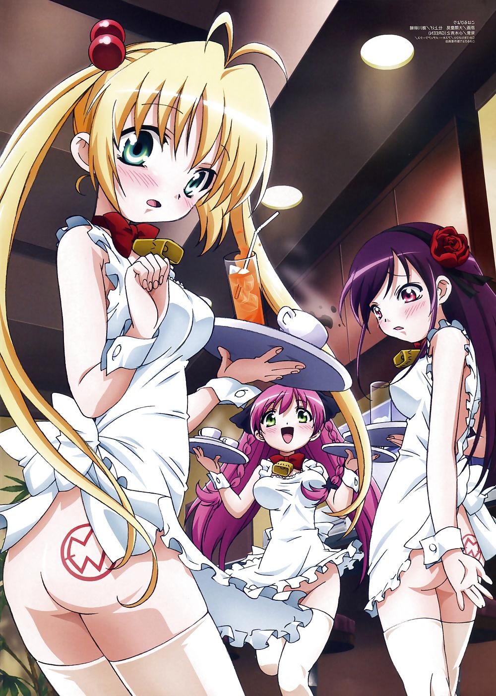 25P Anime style: naked apron