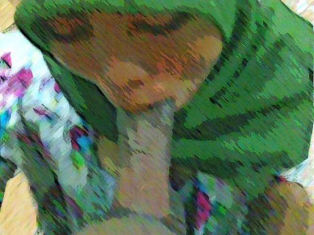 23P Tudung facial